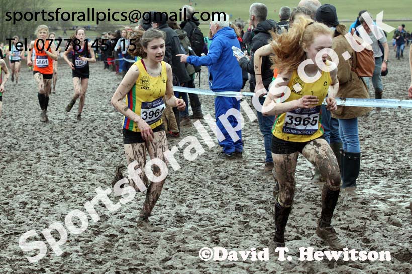 Girls under-15s 2018 British Inter Counties Cross Country Champs., Prestwold Hall, Loughborough. Photo: David T. Hewitson/Sports for All Pics